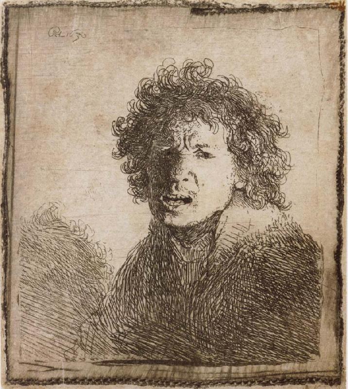 REMBRANDT Harmenszoon van Rijn Self-Portrait,Open-Mouthed,As if Shouting France oil painting art